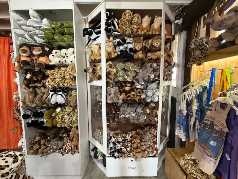 Jettyshoppe