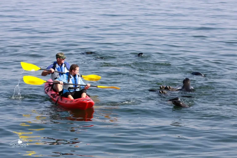 Pelican Point Kayak Mola Mola