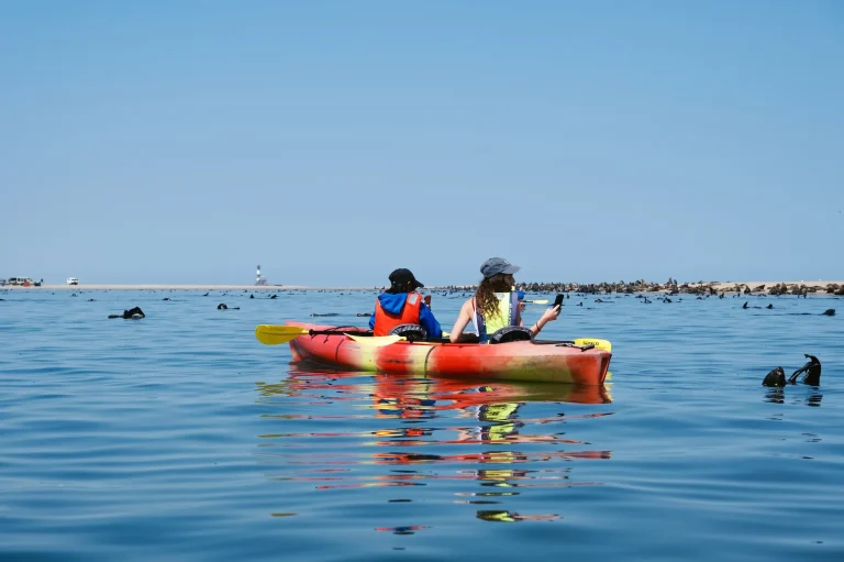 Pelican Point Kayaking